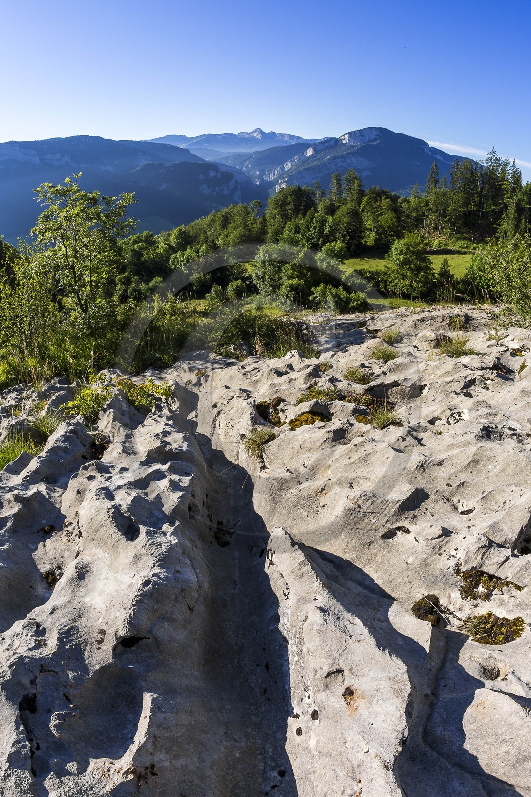 ENS de l'Isère, vallée fossile des Rimets