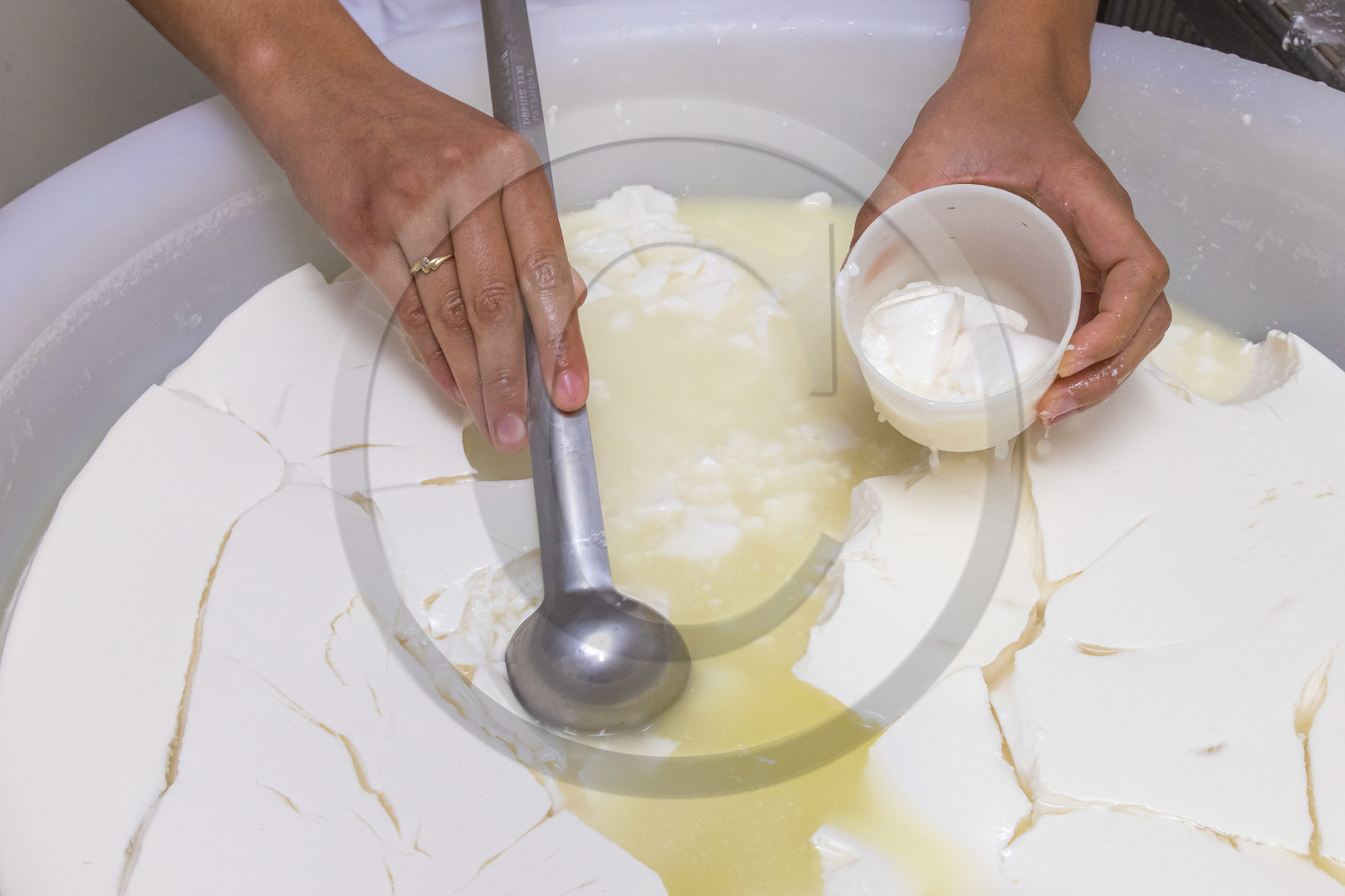 Gaec La Ferme des Ecrins