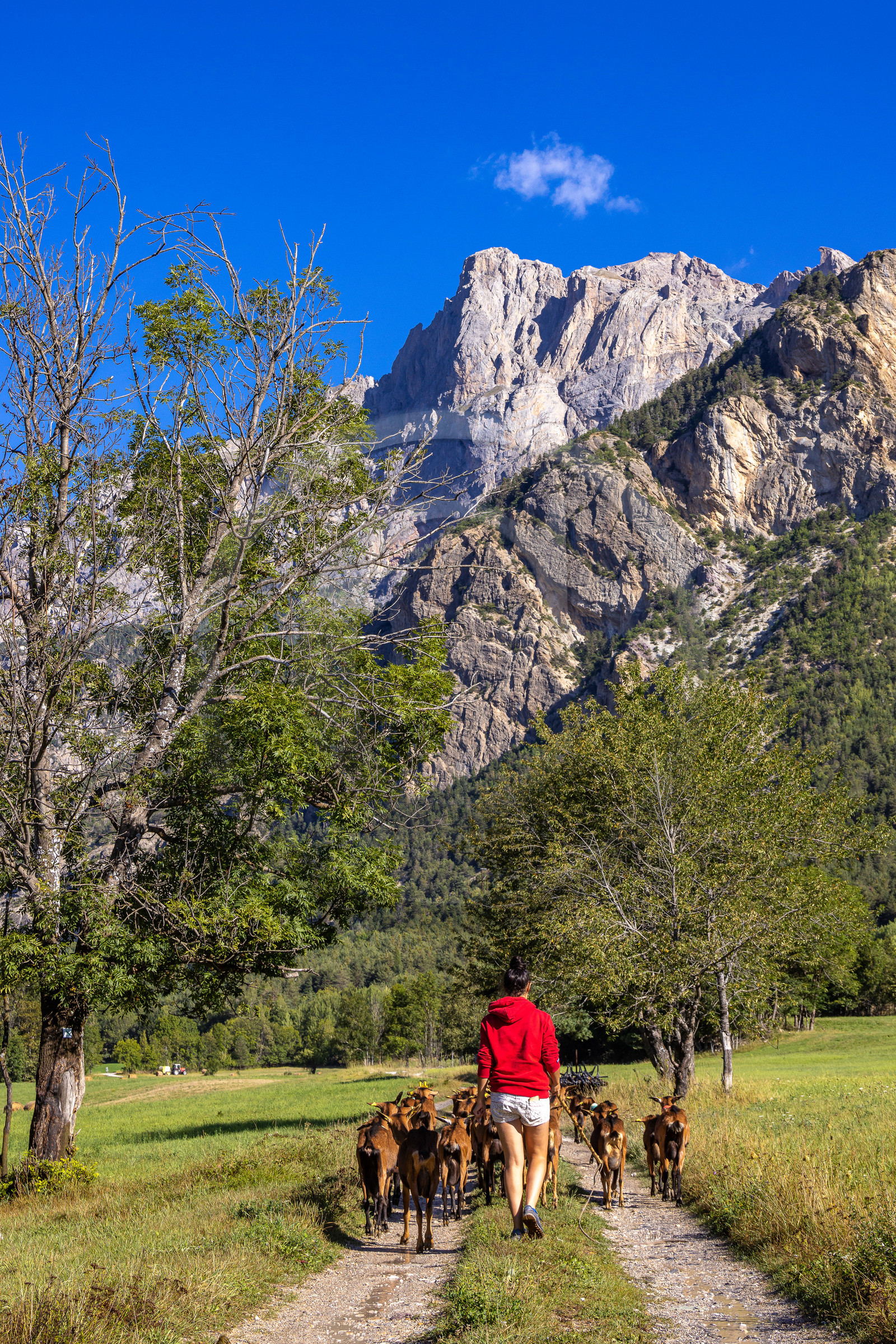 Gaec La Ferme des Ecrins