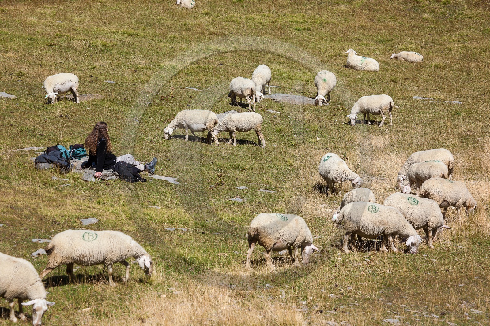 Vallée du Valgaudemar