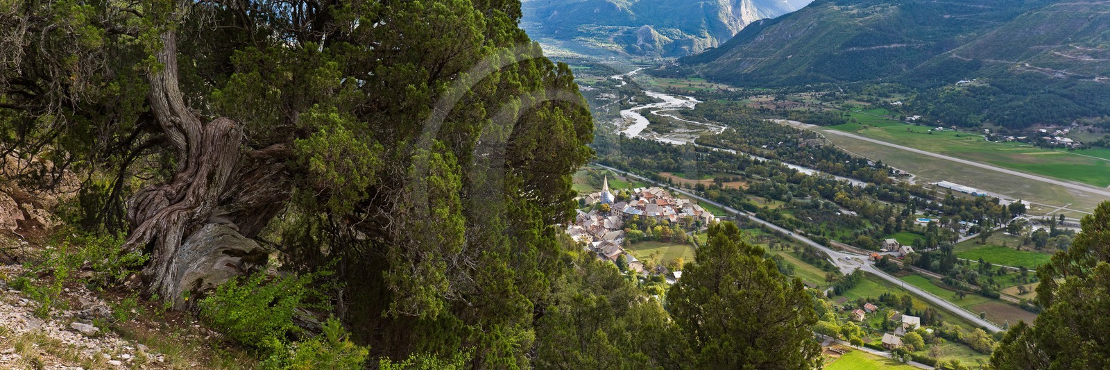 Thurifaie de St Crépin