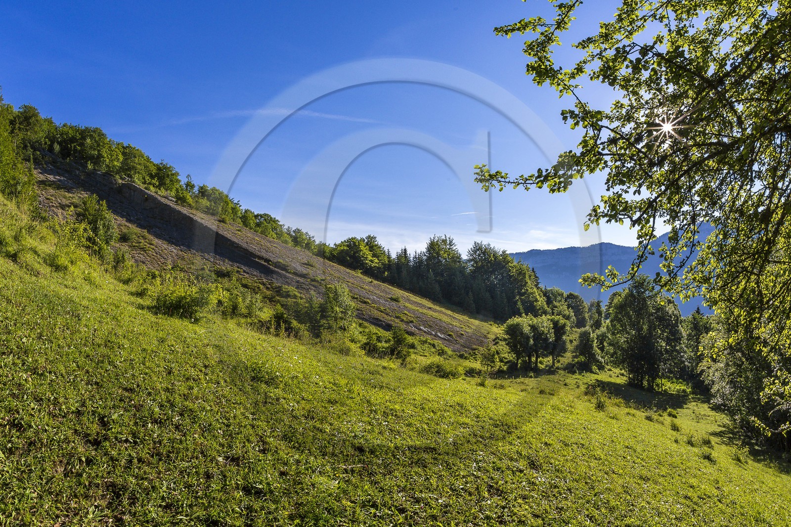 ENS de l'Isère, vallée fossile des Rimets