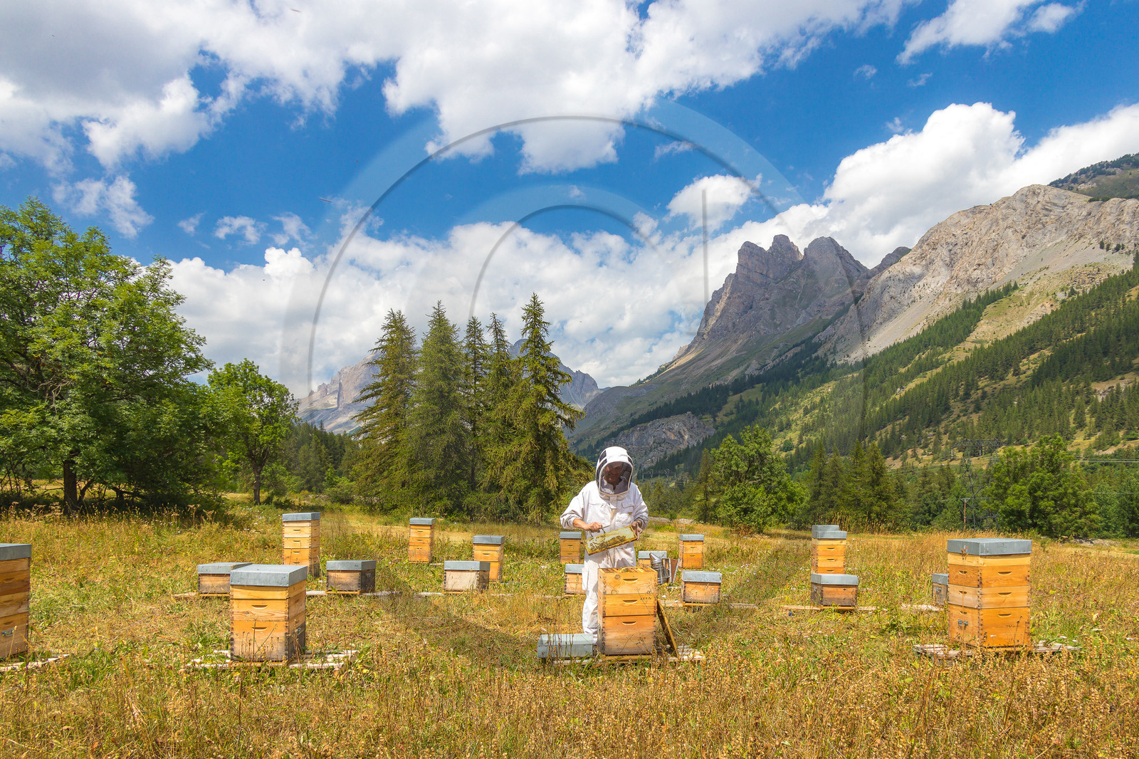 Miellerie de Serre Chevalier