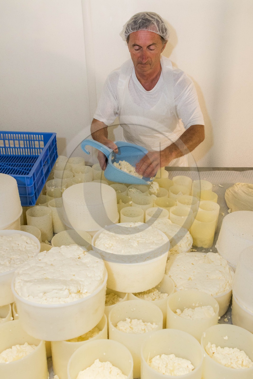 Vallée du Champsaur, fromagerie Ebrard
