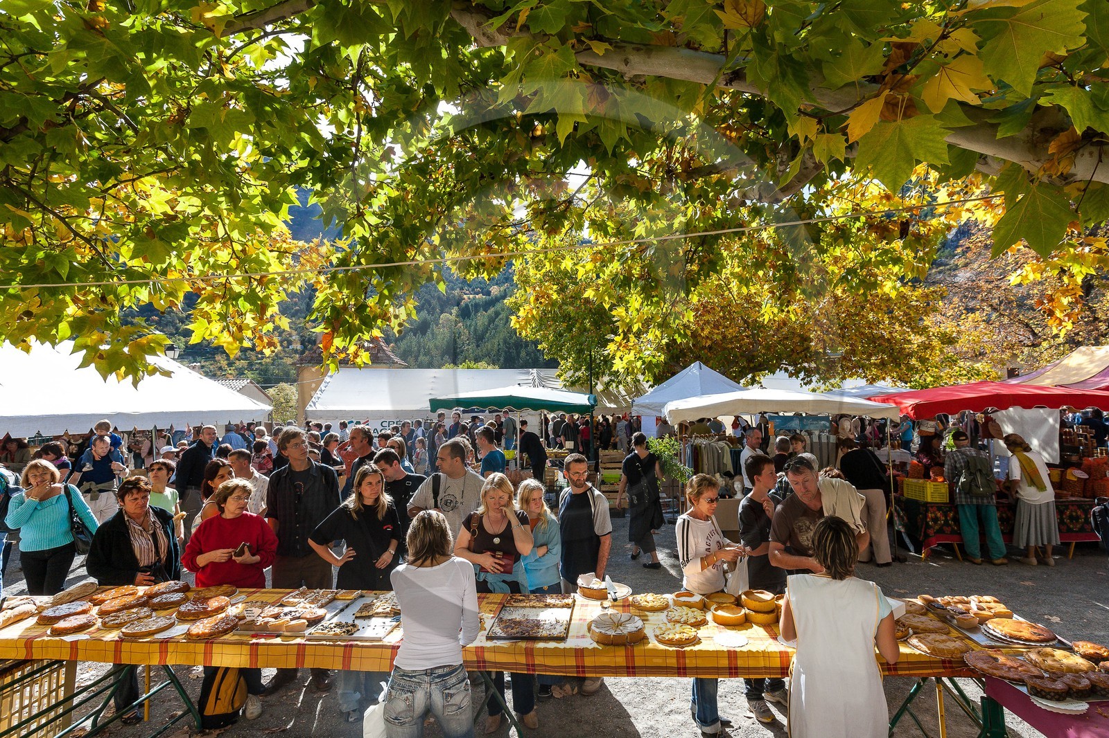 Village d'Orpierre, Marché des saveurs