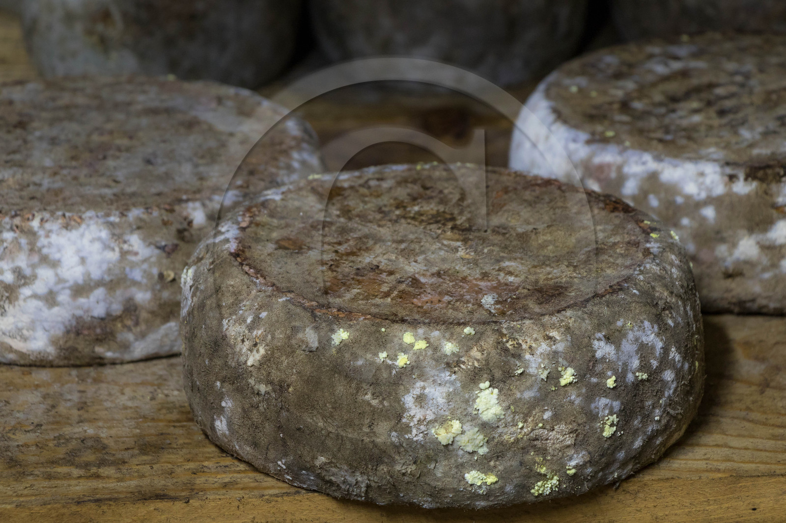 Gaec La chèvrerie des Combettes