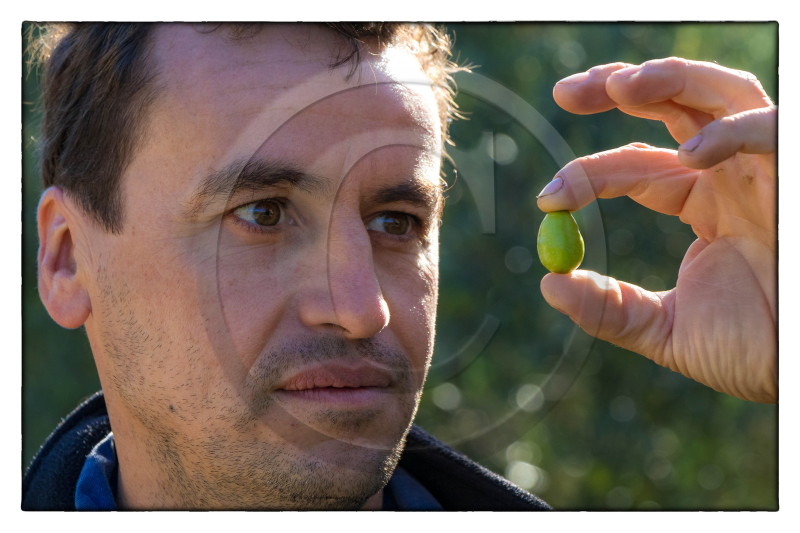 Le verger des Baux, Olivier Roman