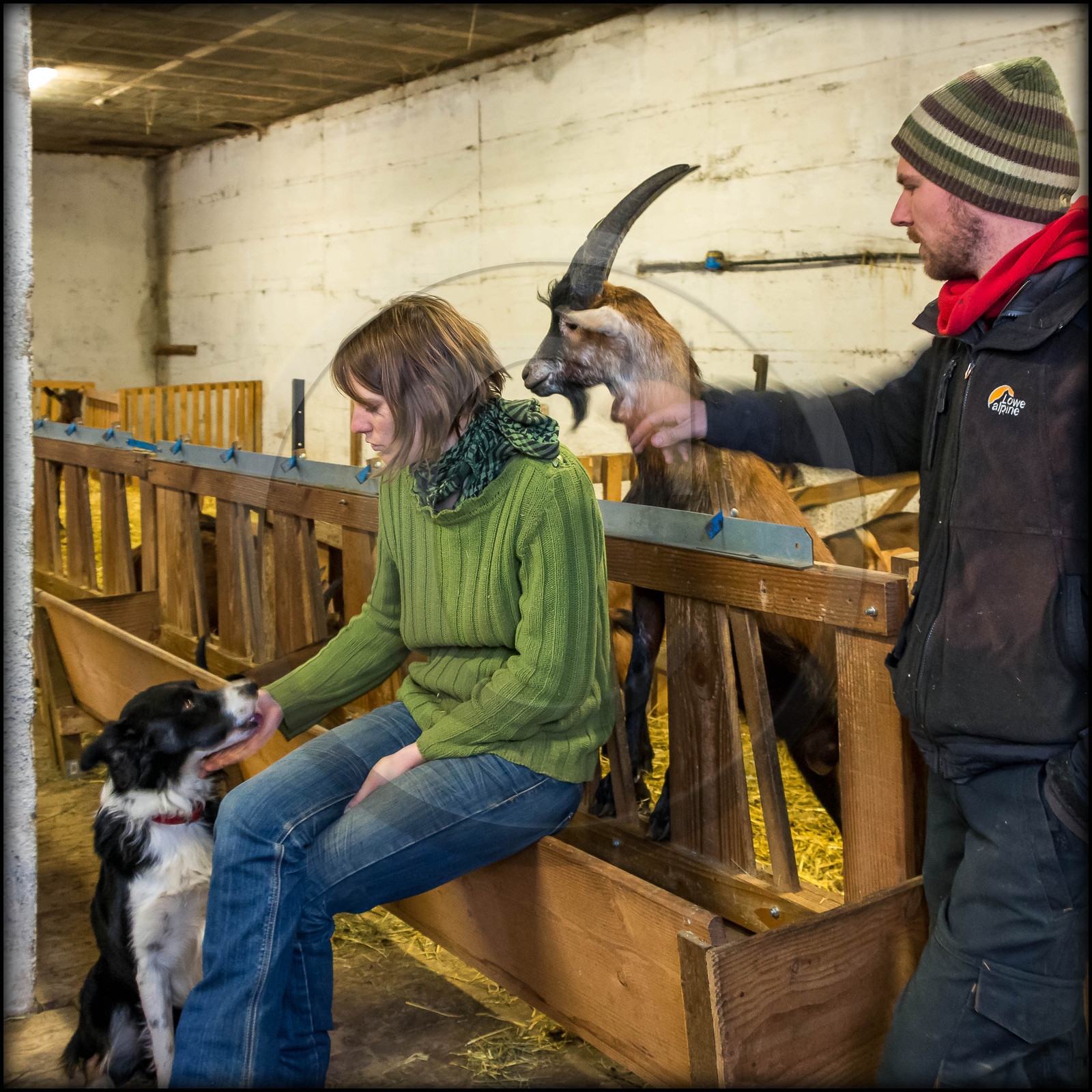 Arvieux, La Chèvrerie des Moulins