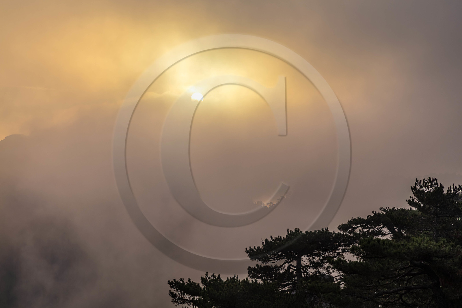 Les Aiguilles de Bavella (forchi di Bavedda )