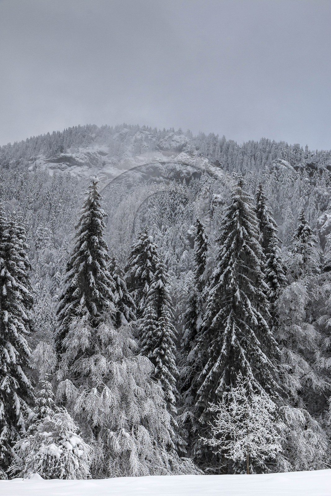 ENS de l'Isère, Les Ecouges