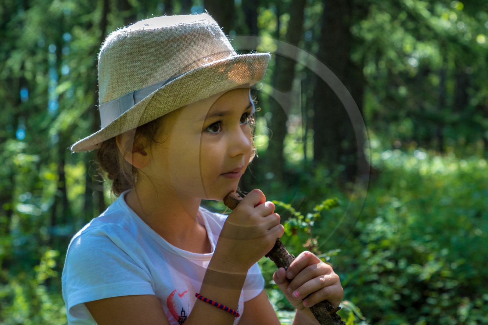 Curieux de nature, sortie découverte avec Cyril Mahout