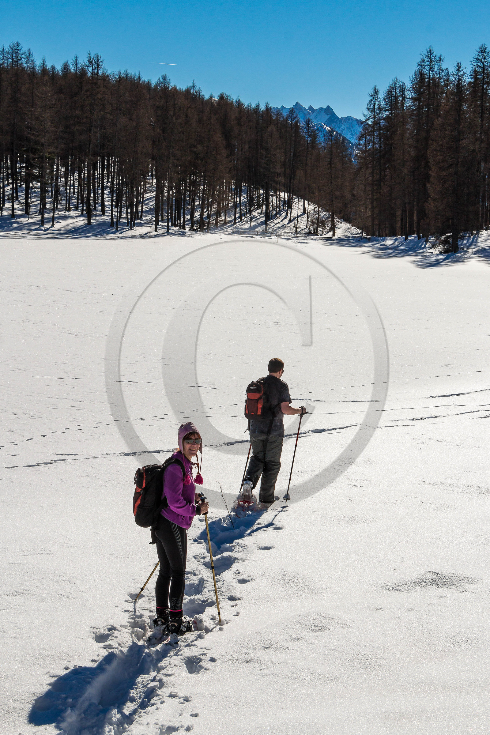 Randonnée en raquettes à neige