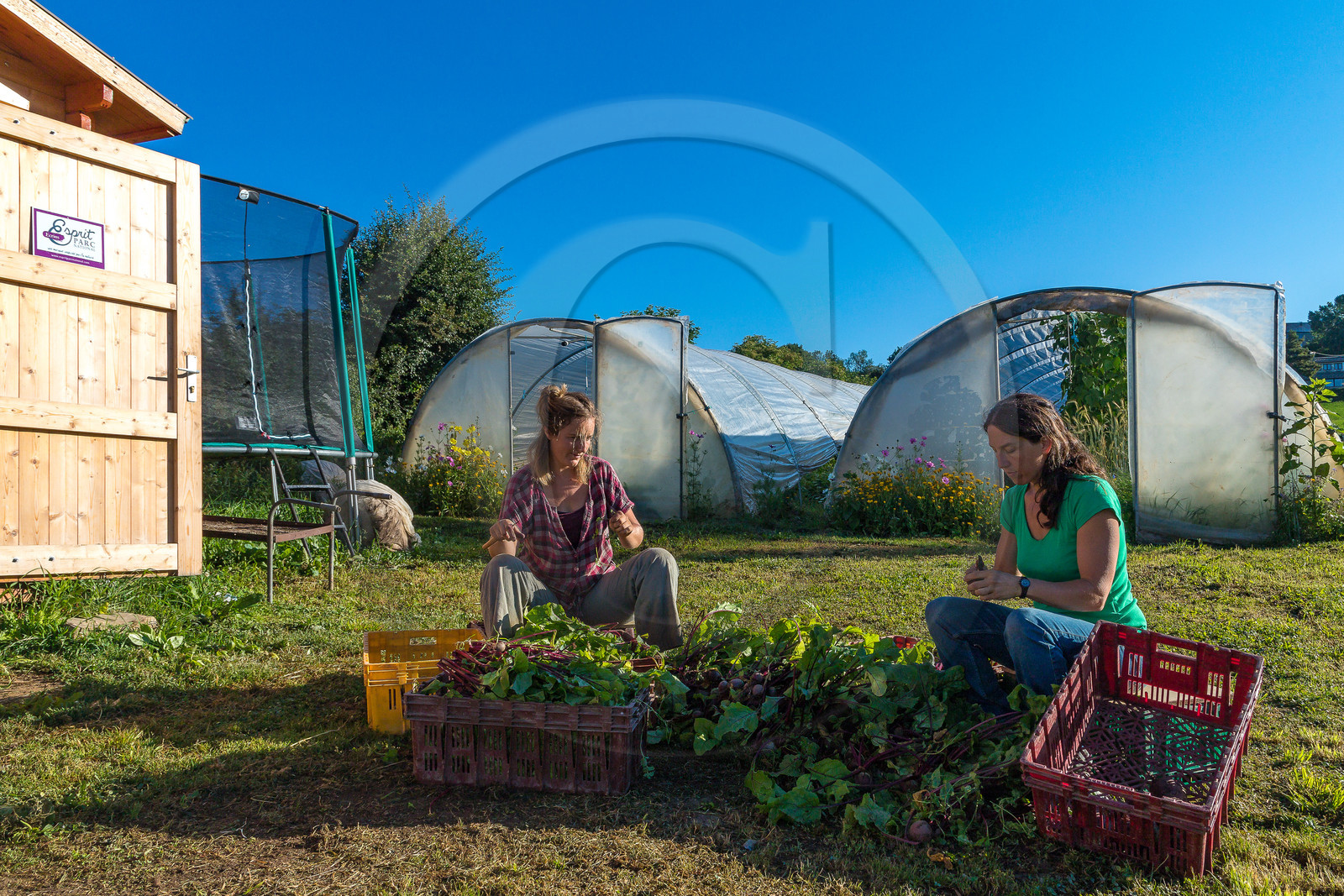 LéguMontagne, Sylvie Jaussaud et  Bertille Gieu, Maraîchères bio
