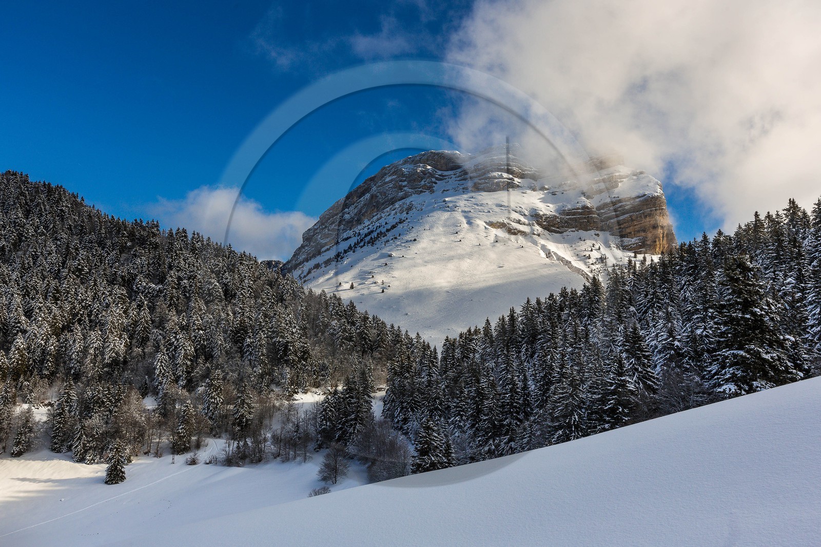 Espace naturel sensible de l'Isère, Col du Coq