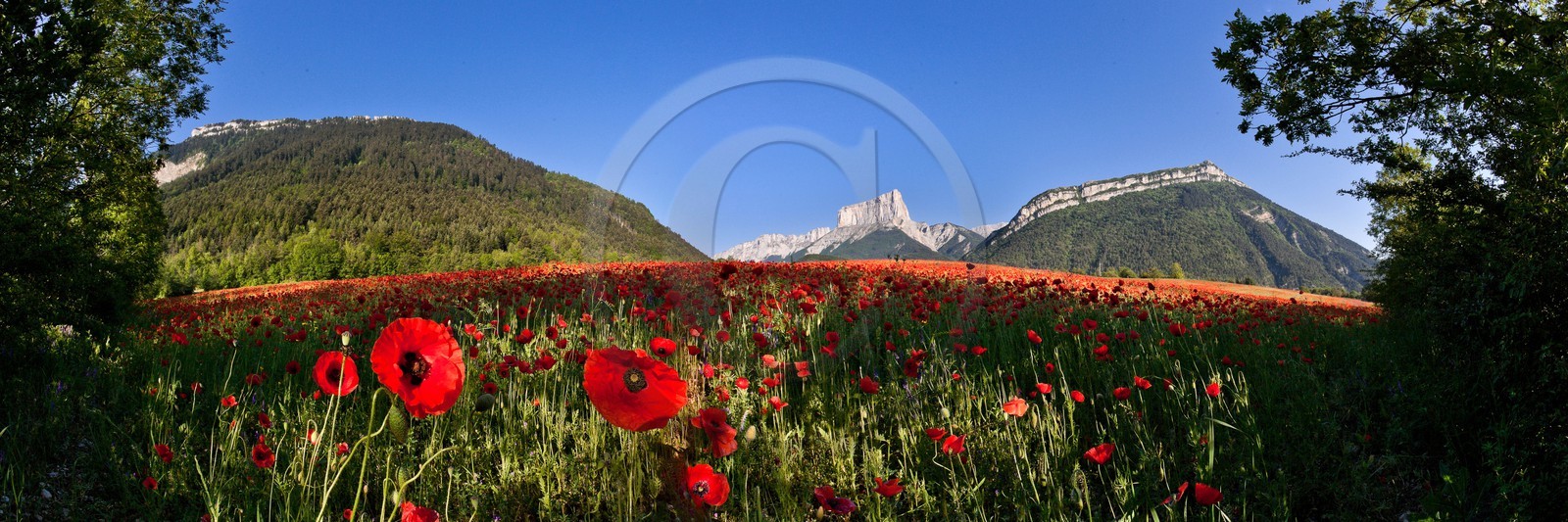 Trièves, le Mont-Aiguille