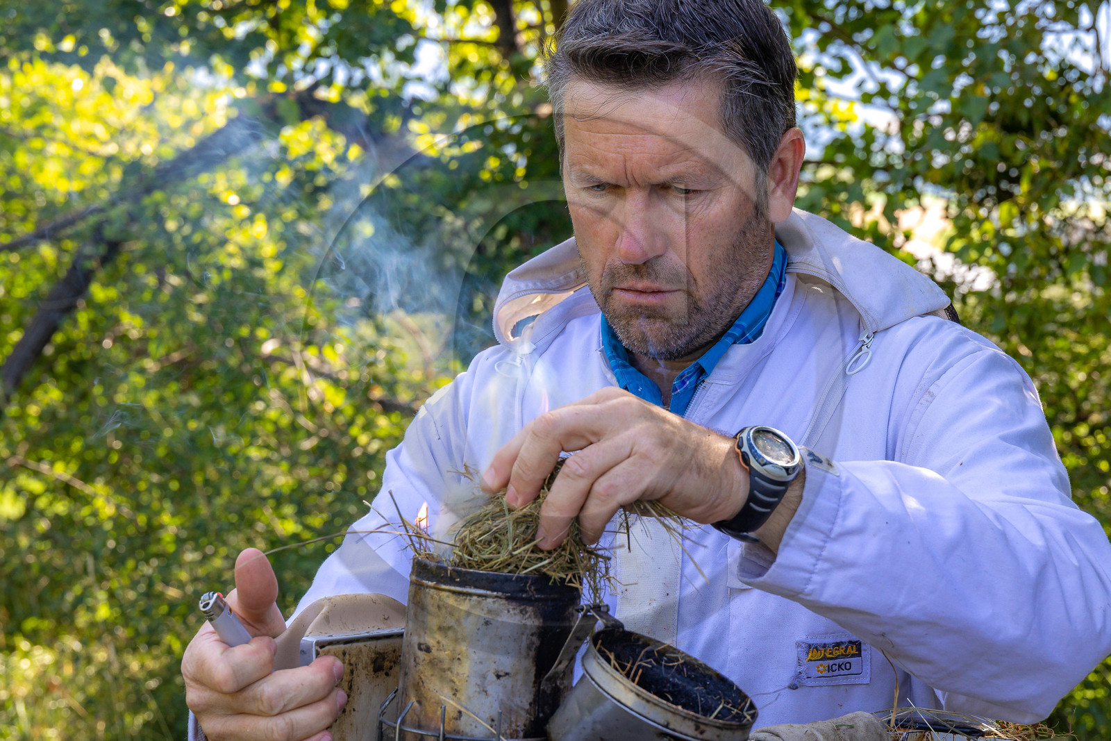 Jean-Jacques Daubert - Apiculteur