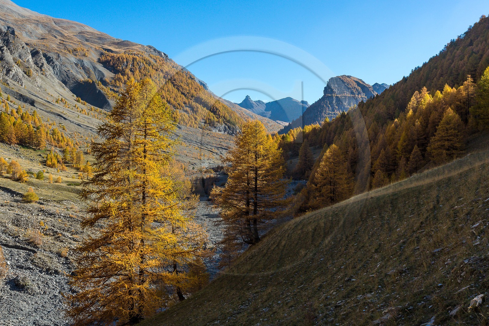 Jausiers, Lac des Sagnes et forêt de mélèzes à l'automne