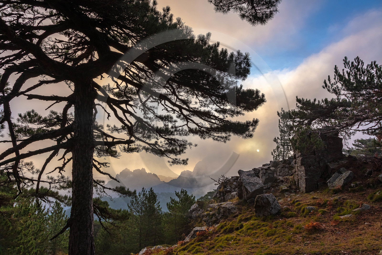Les Aiguilles de Bavella (forchi di Bavedda )