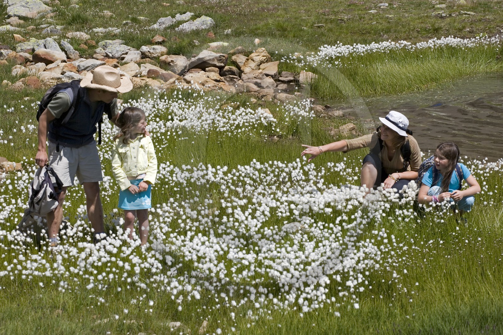 Orcières 1850, randonnée famille