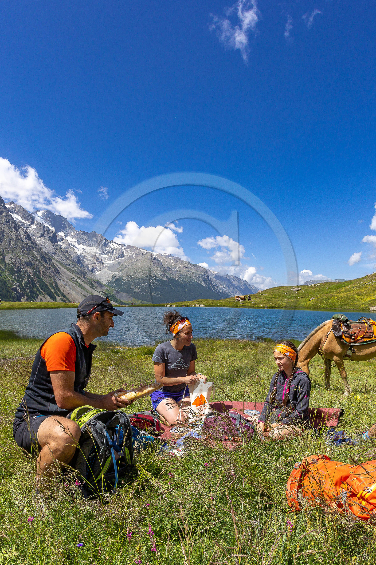 Trek famille avec animaux de bats