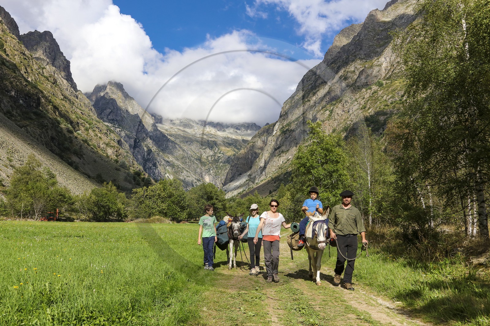Yohann Masnada, accompagnateur ânier