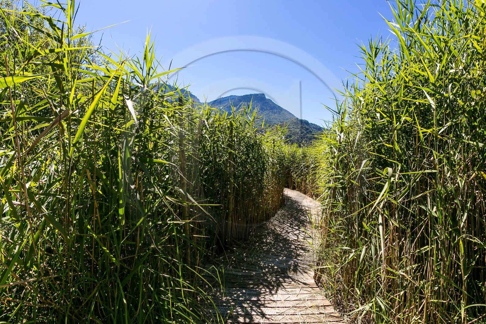 ENS de l'Isère, Tourbières de l'Herretang