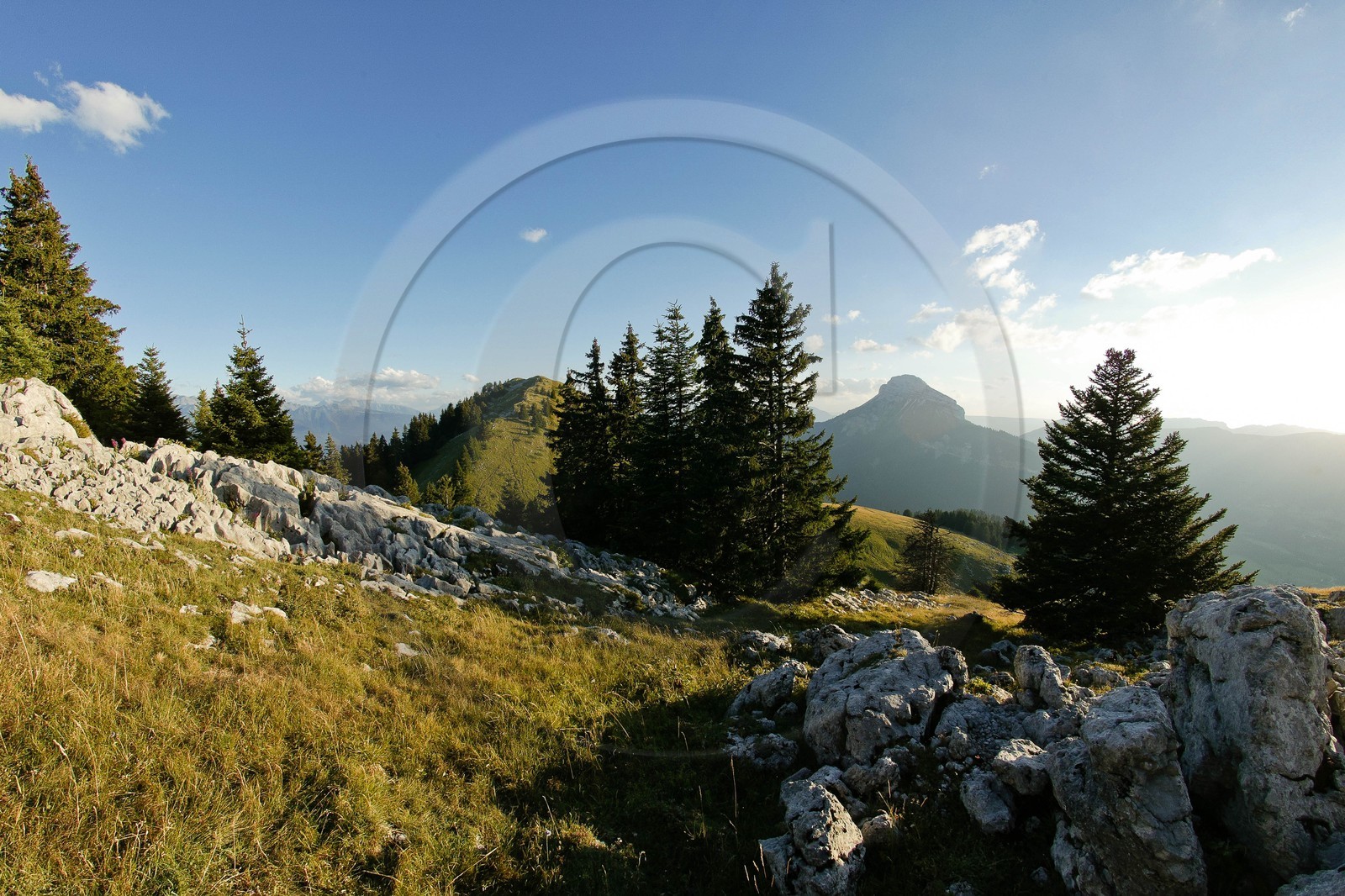 Chamechaude du Col du Coq