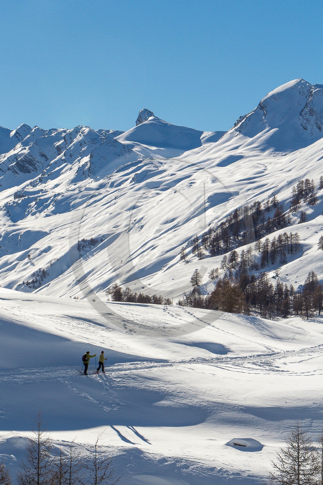 Col de Larche, vallon du lauzanier, randonnée raquettes