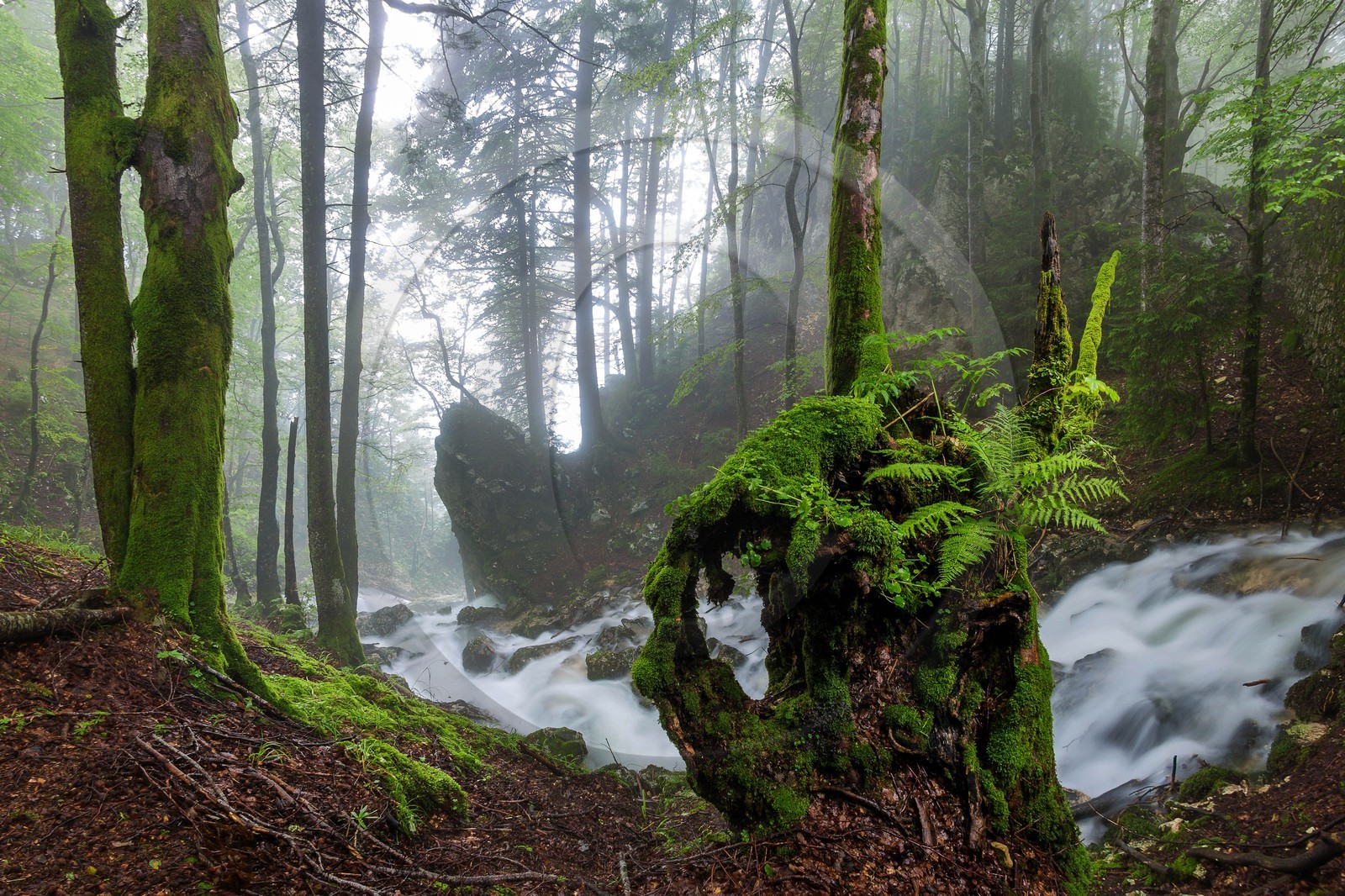 ENS de l'Isère, Les Ecouges