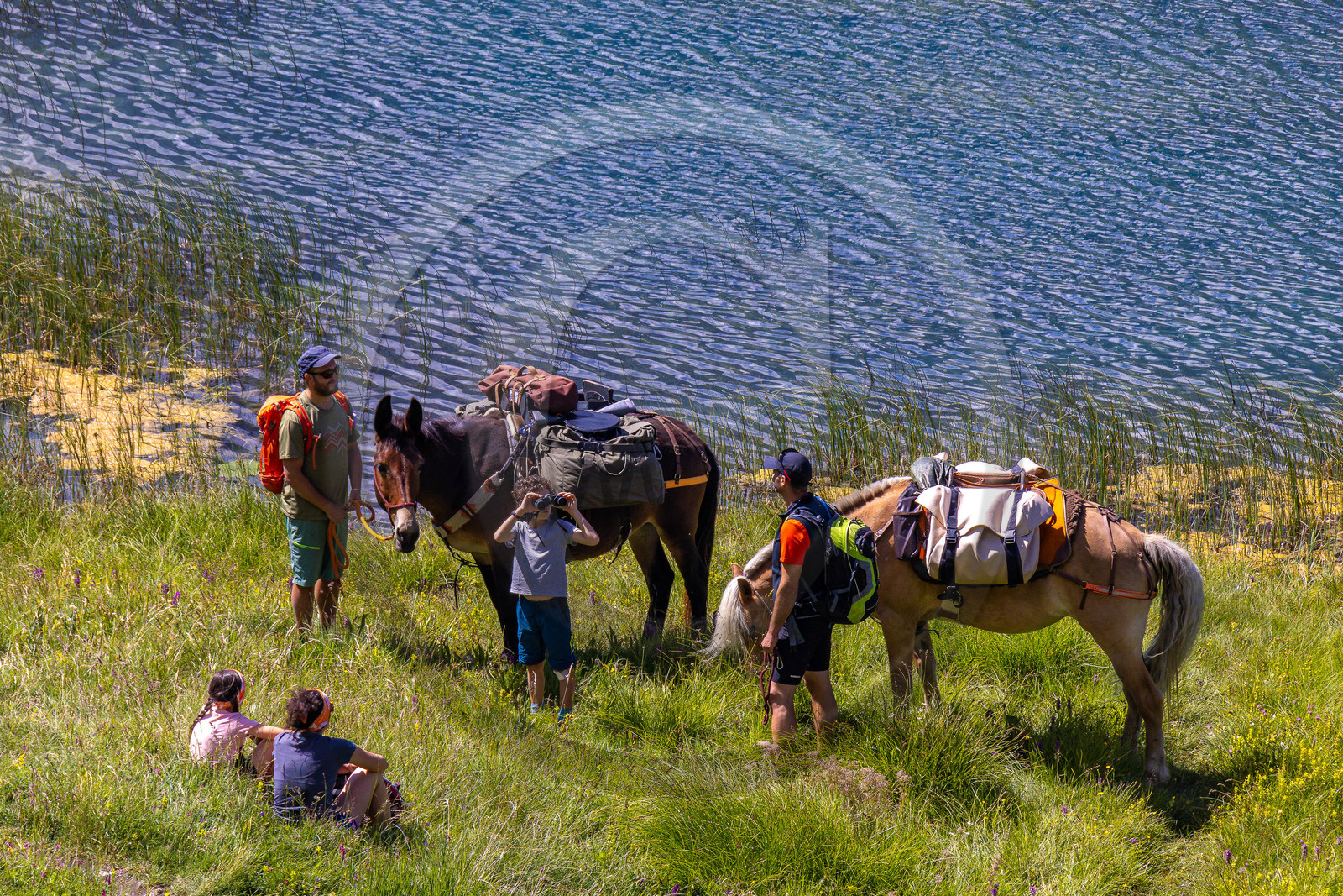 Trek famille avec animaux de bats