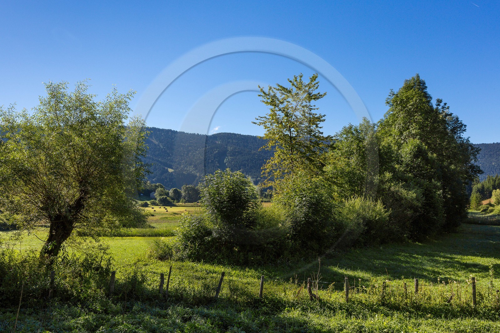 ENS de l'Isère, Marais des Sagnes