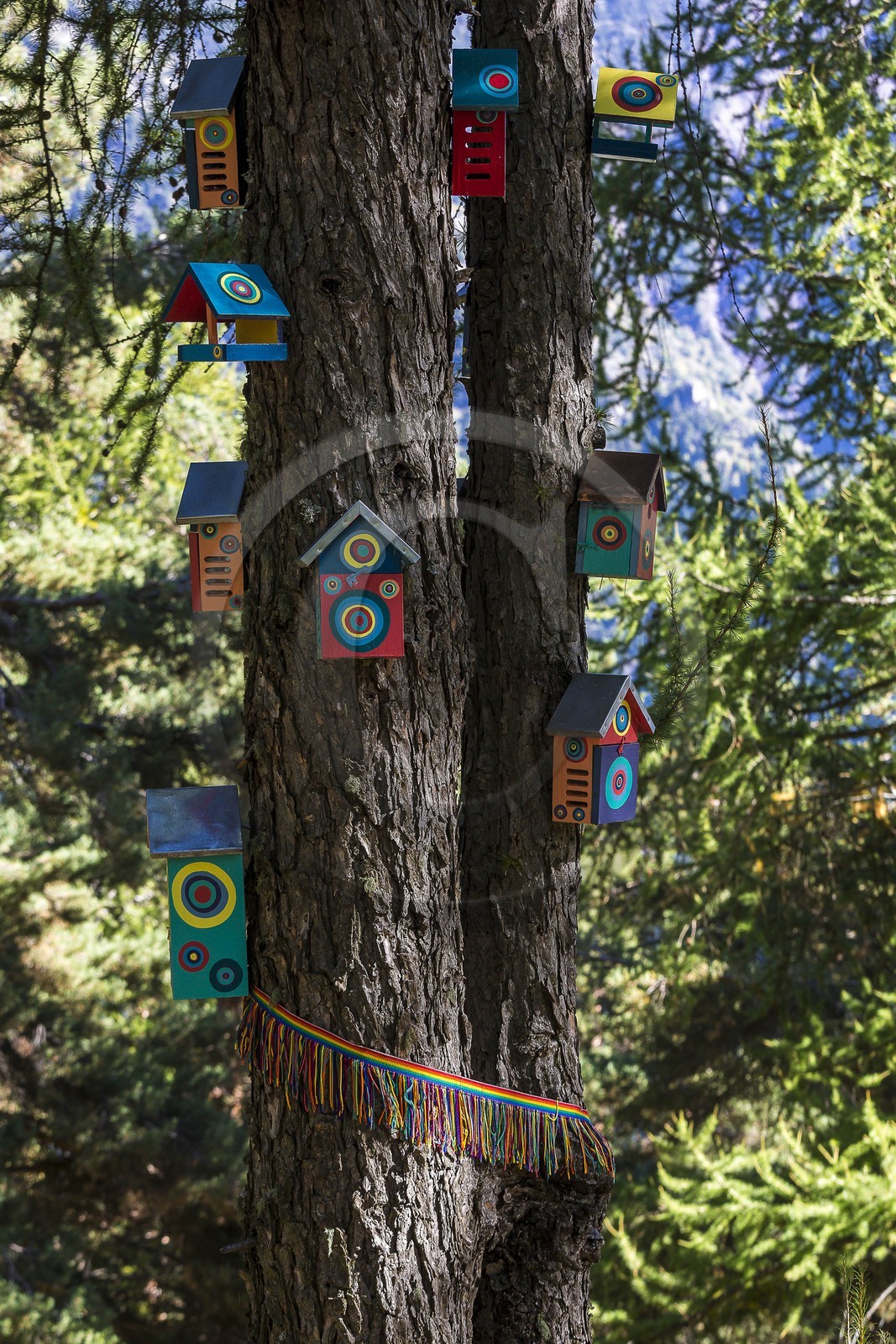 Arboretum de Roure, l'art et l'arbre, Michèle Kleijnen, Peintre Plasticienne