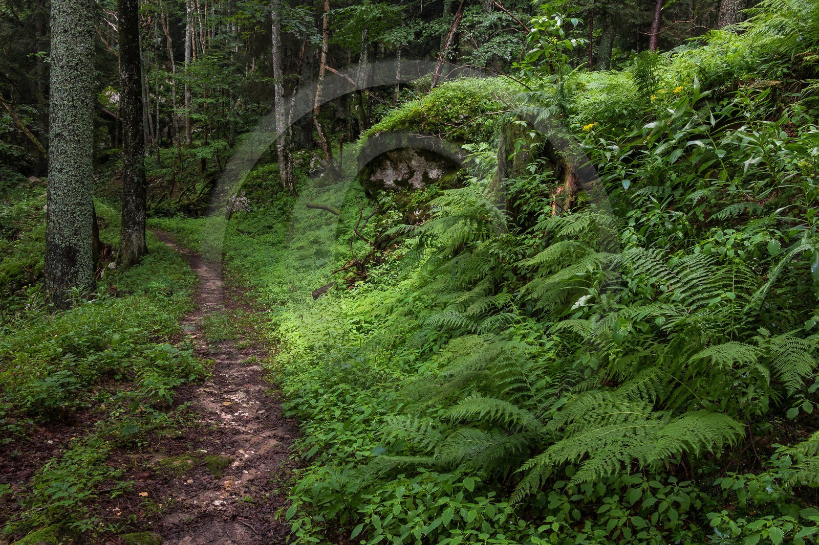 ENS de l'Isère, Les Ecouges