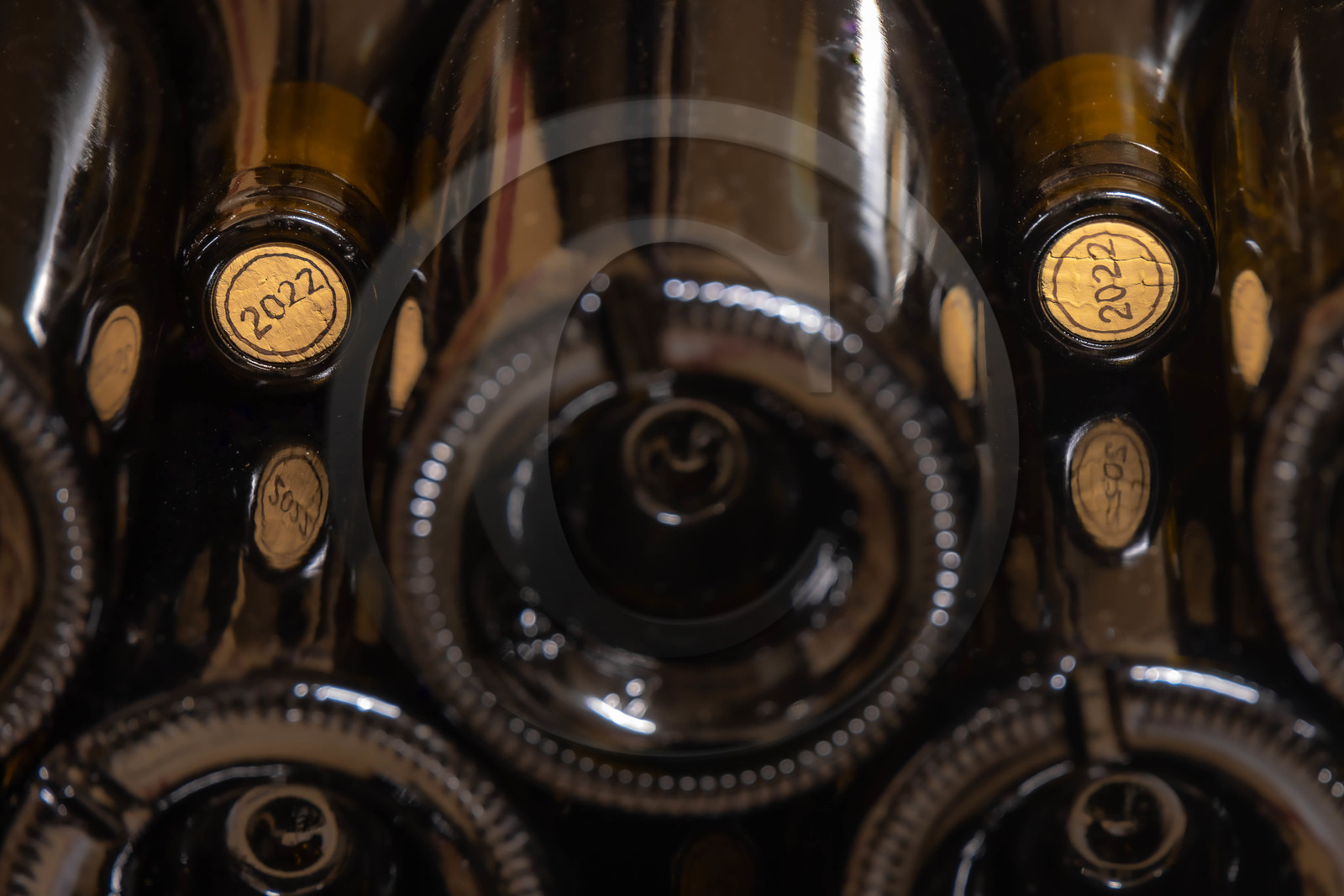 Domaine du Mont Guillaume