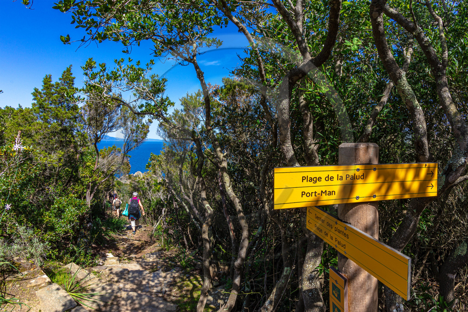 Parc national de Port-Cros