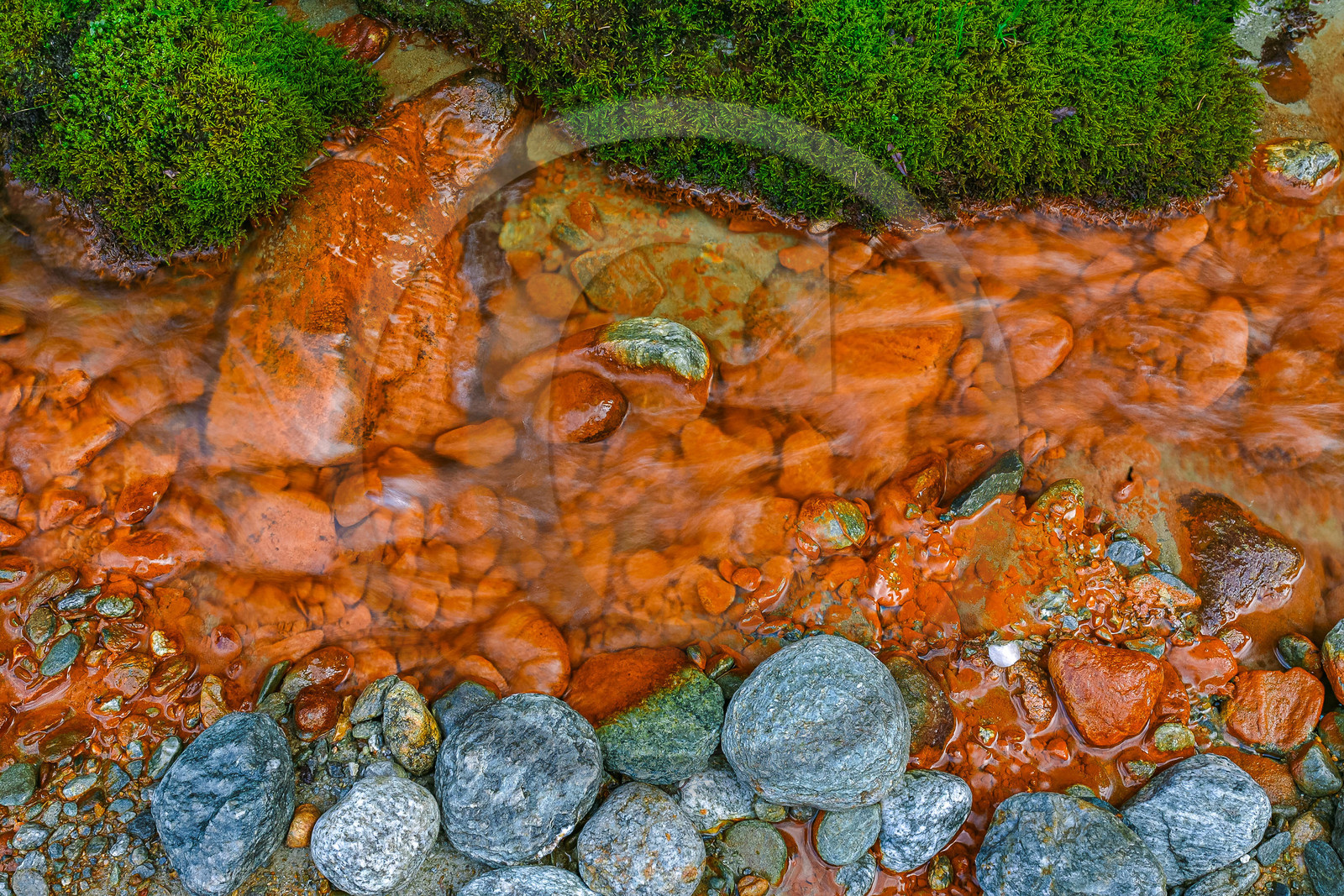 Réserve naturelle des Contamines-Montjoie, source ferrugineuse dans le torrent de Tré-la-Tête