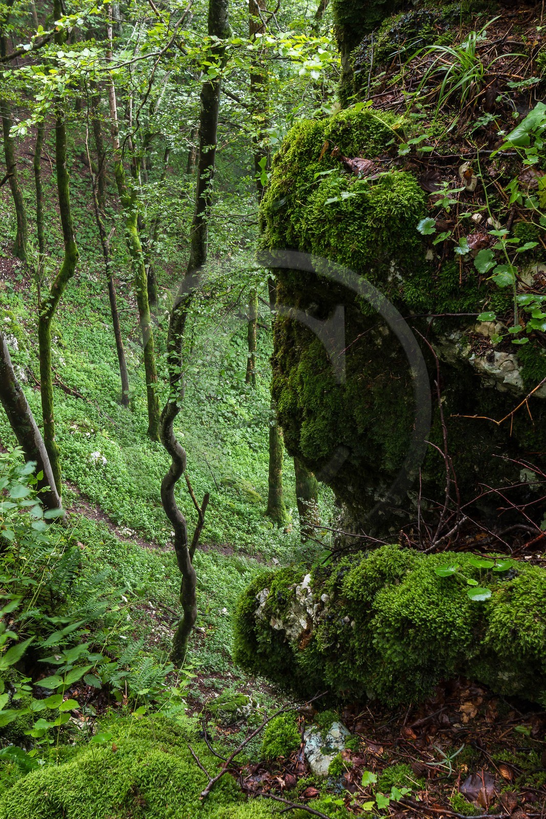 ENS de l'Isère, Les Ecouges