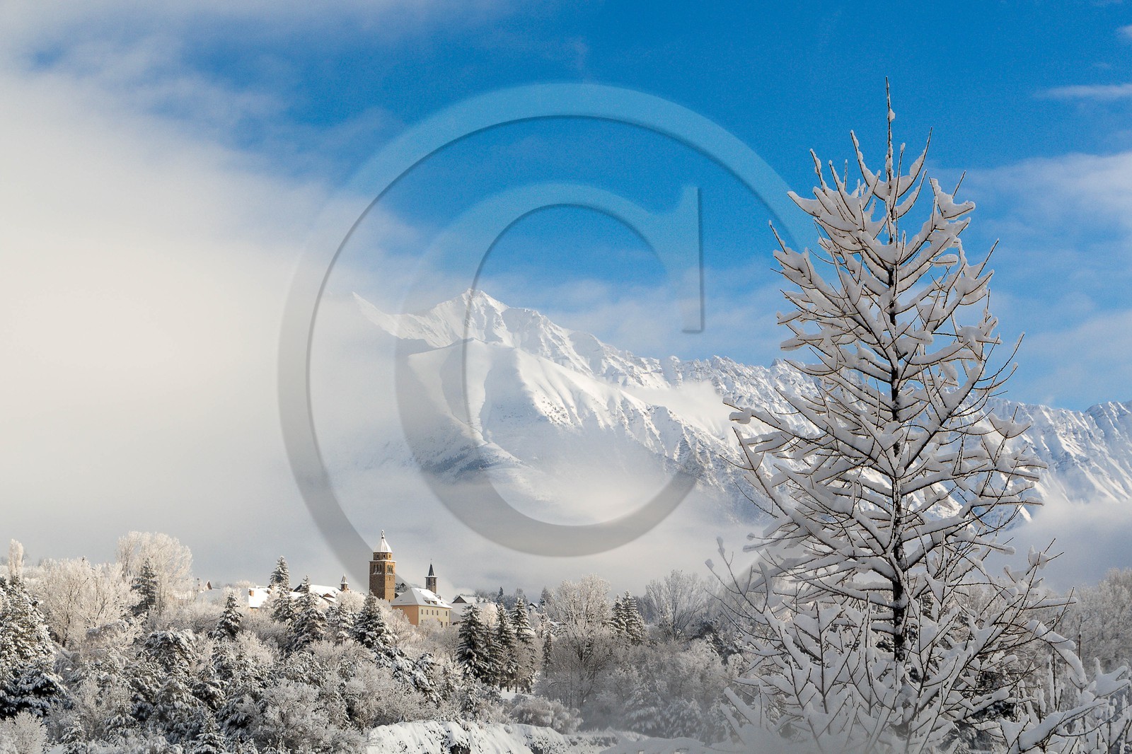 Faucon-de-Barcelonnette
