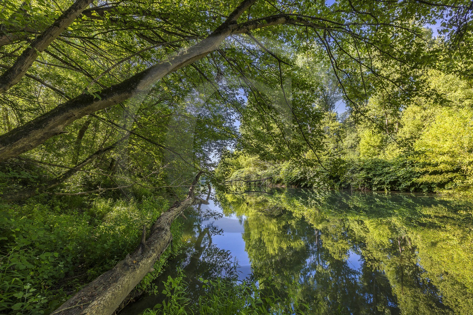 ENS de l'Isère, , le méandre des Oves