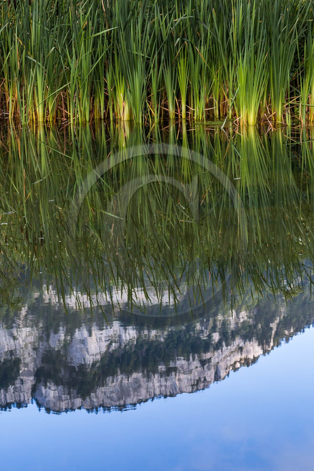 ENS de l'Isère, Les Ecouges, marais du Rivet