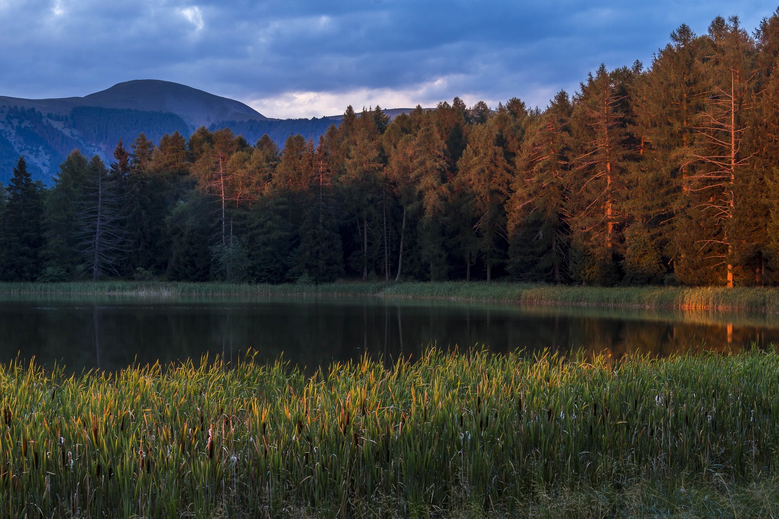 Esparron-La-Bâtie, lac d'Esparron