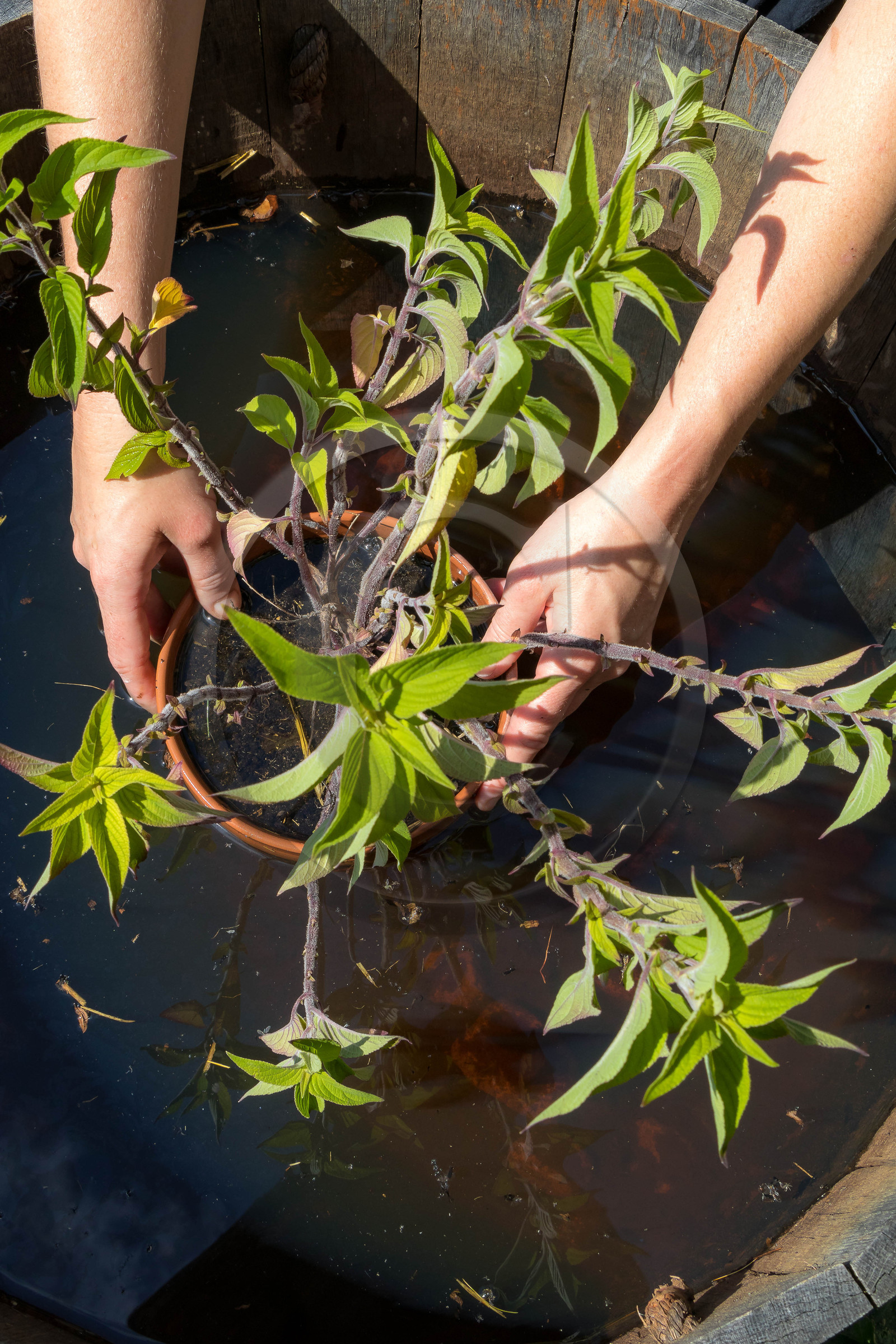 Parc écologique Terre Vivante
