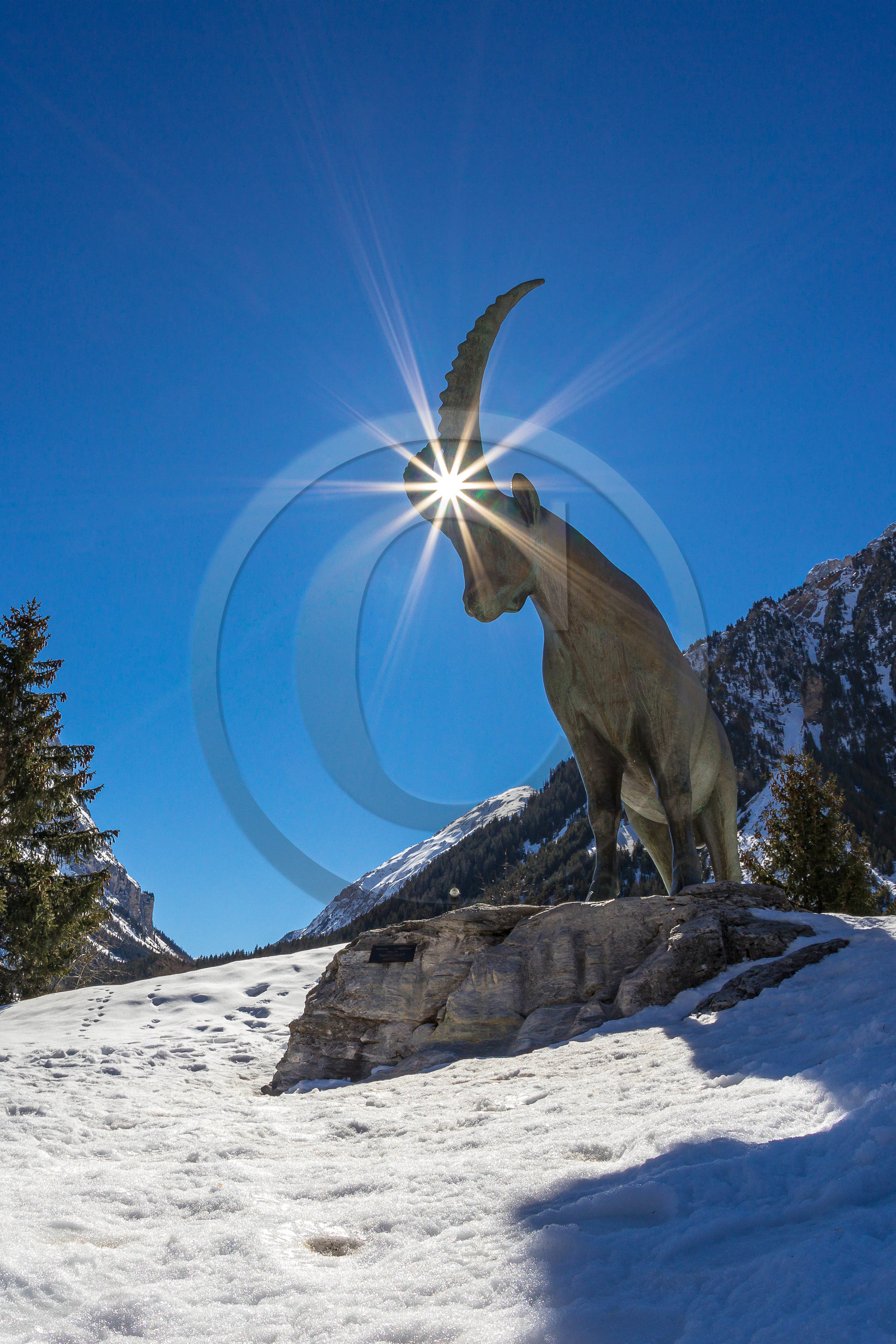 Pralognan-la-Vanoise, bouquetin en bronze