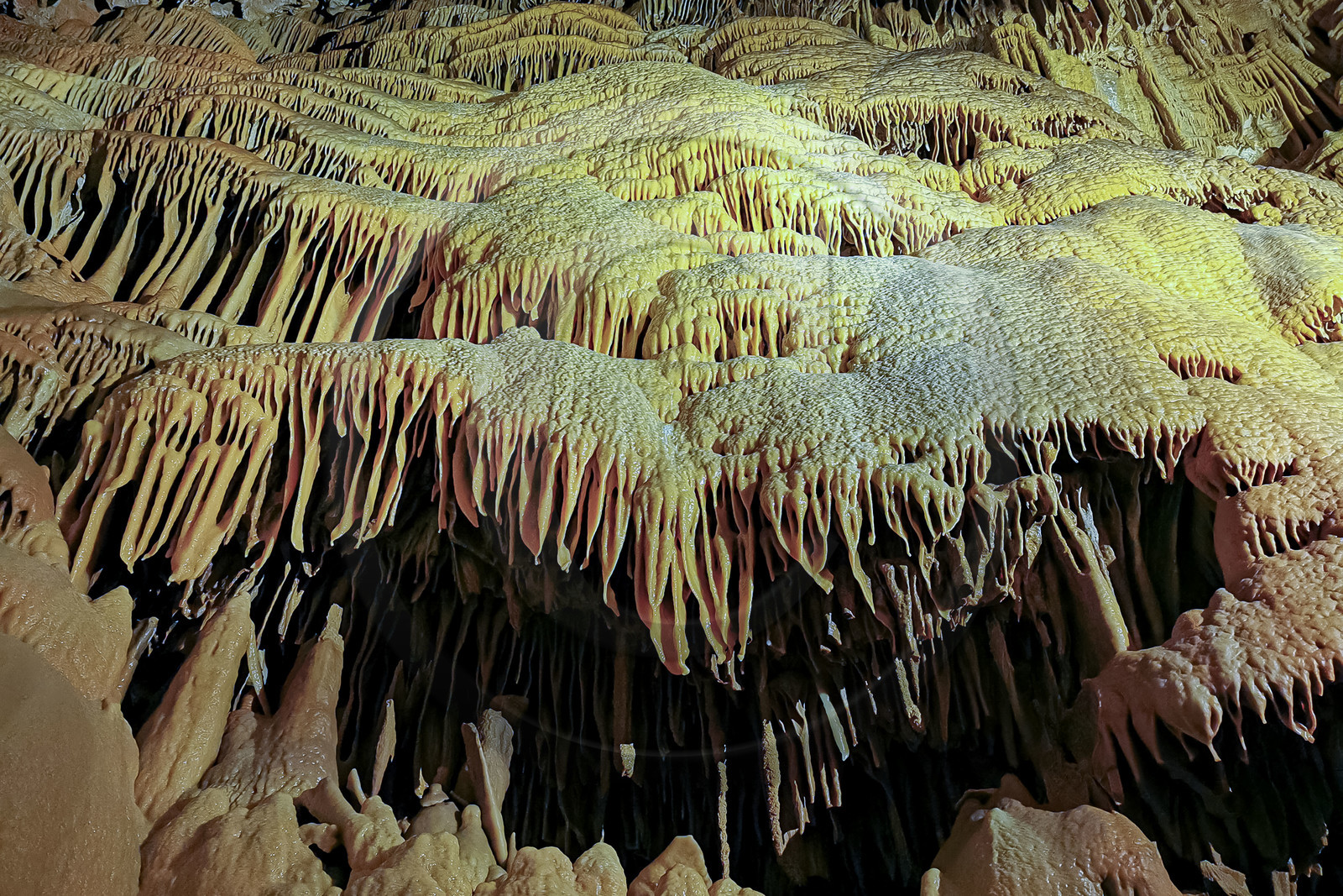 Grotte de Dargilan