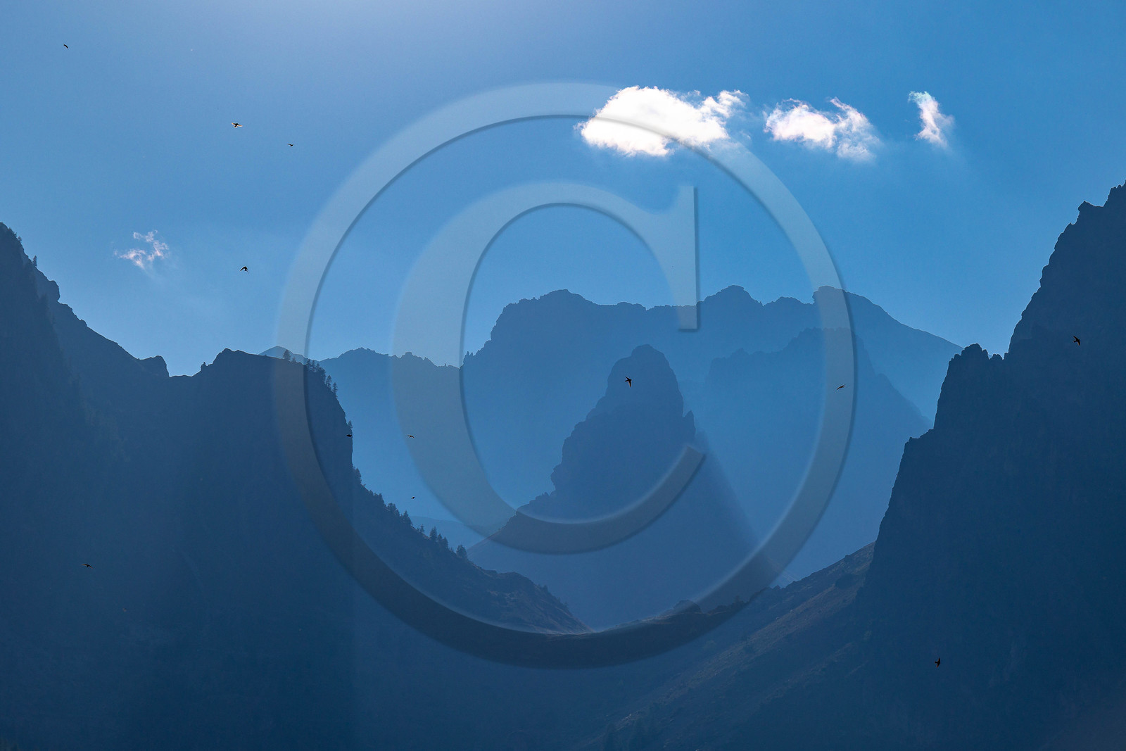 Saretto, Tête de Sautron