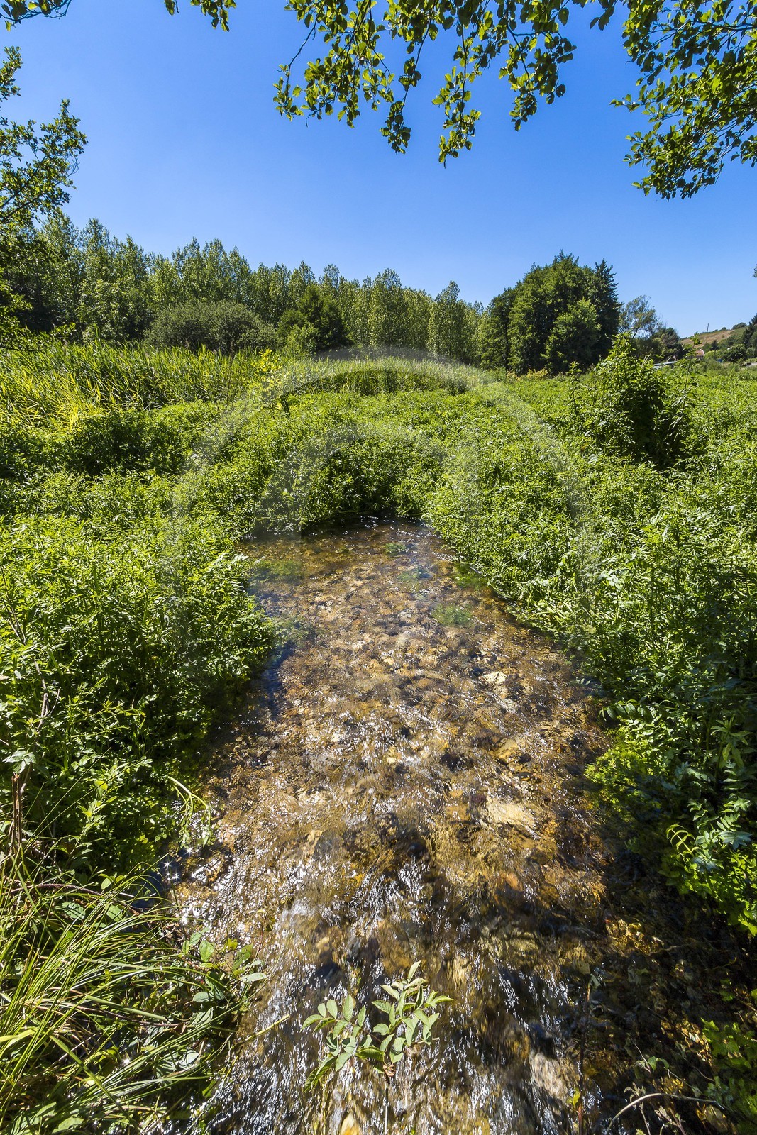 ENS de l'Isère, Les Fontaines de Beaufort