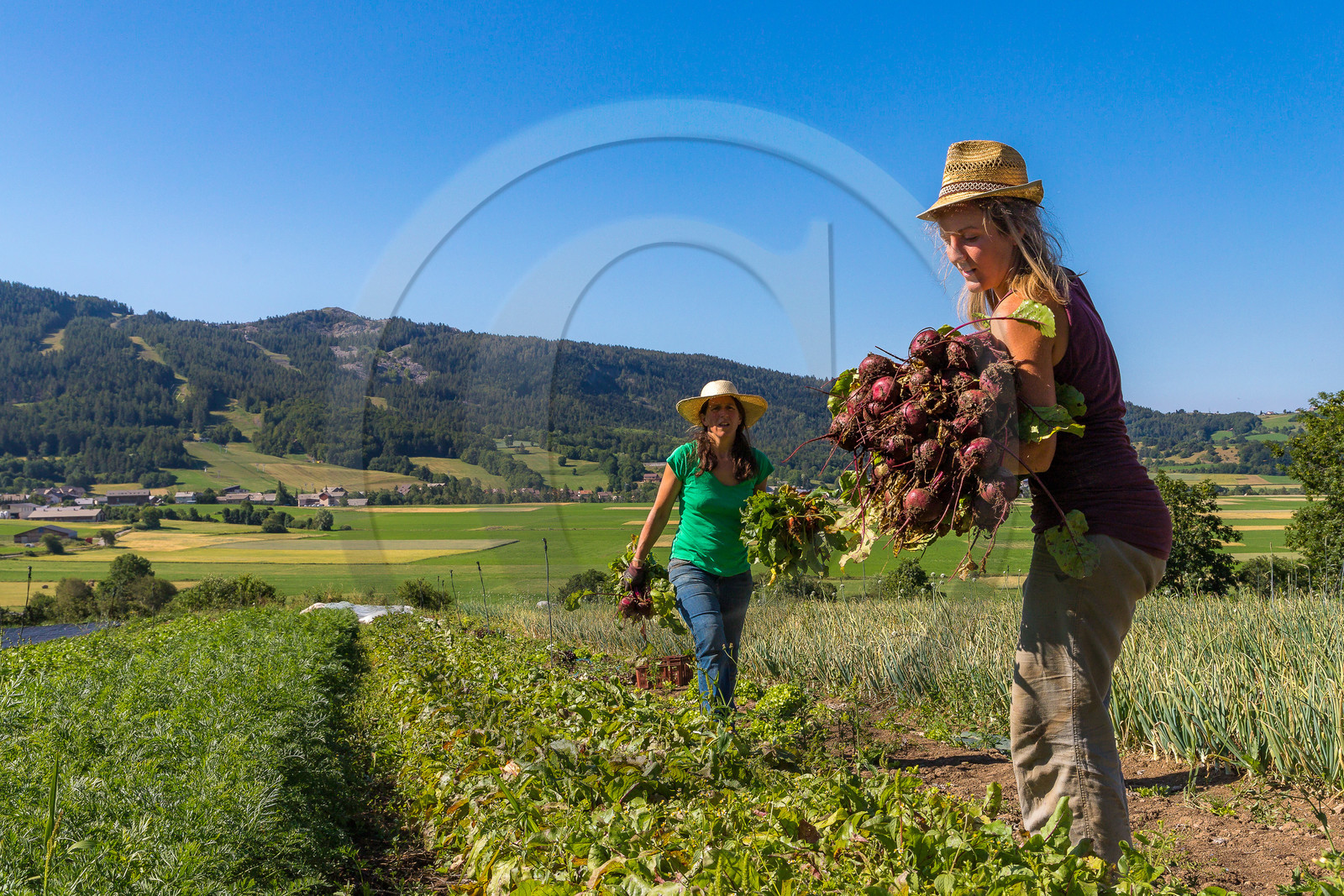 LéguMontagne, Sylvie Jaussaud et  Bertille Gieu, Maraîchères bio