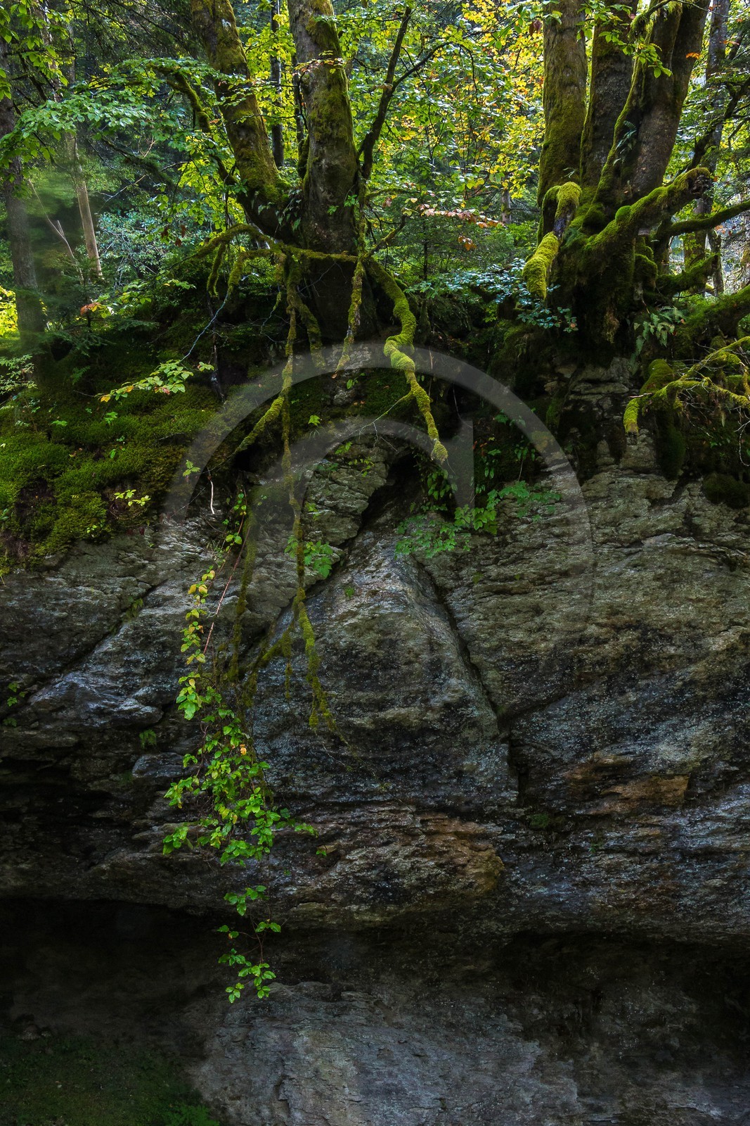 ENS de l'Isère, Les Ecouges
