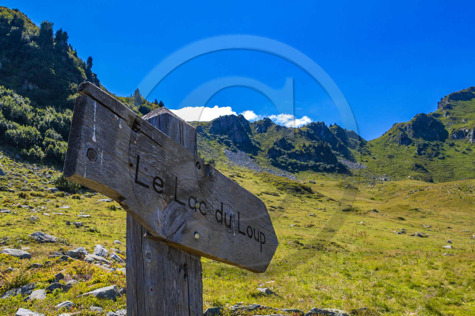 lacs du Loup