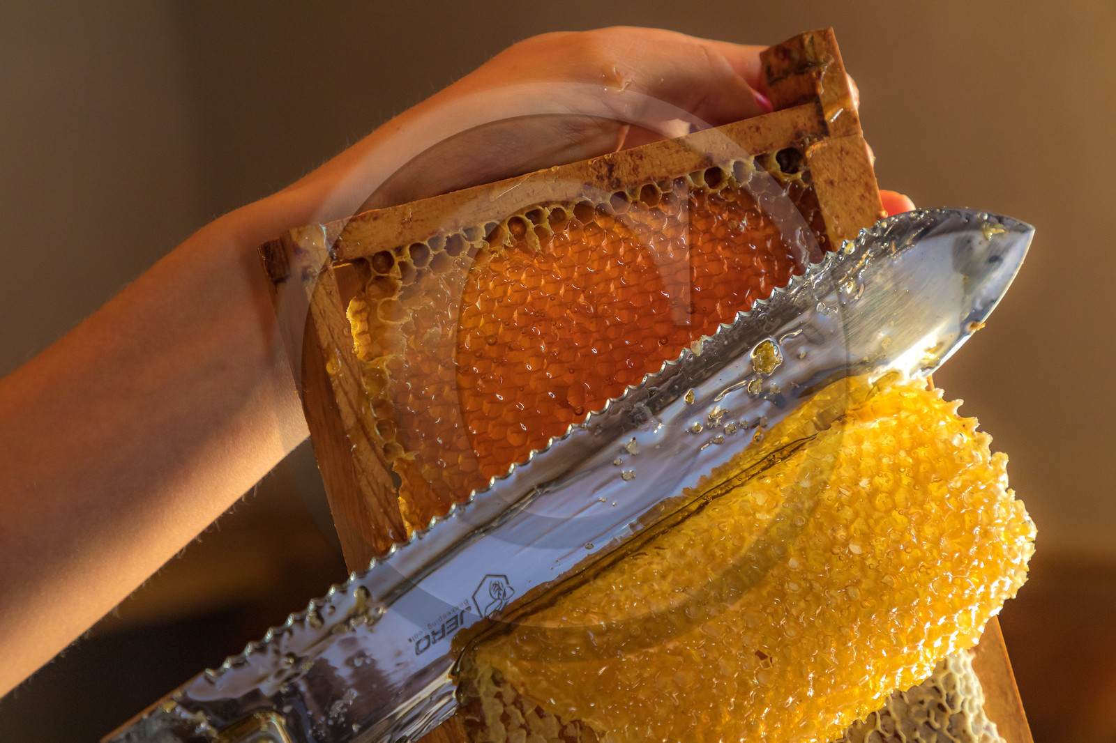 Margaux et Didier Pissard, apiculteurs